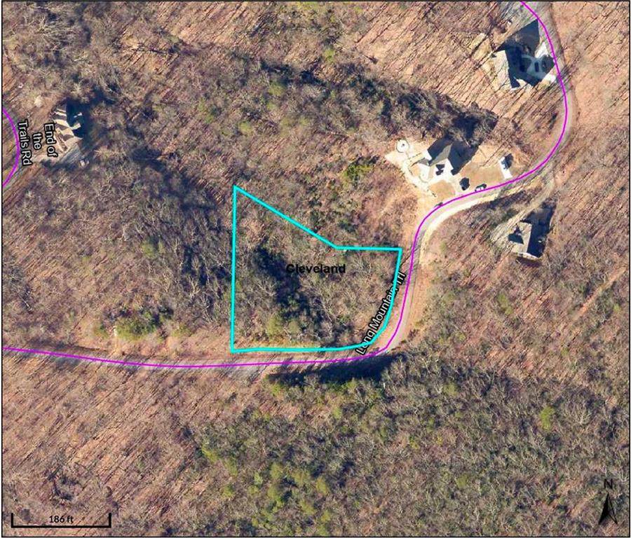 Lot 24 Long Mountain Trail - Photo 1