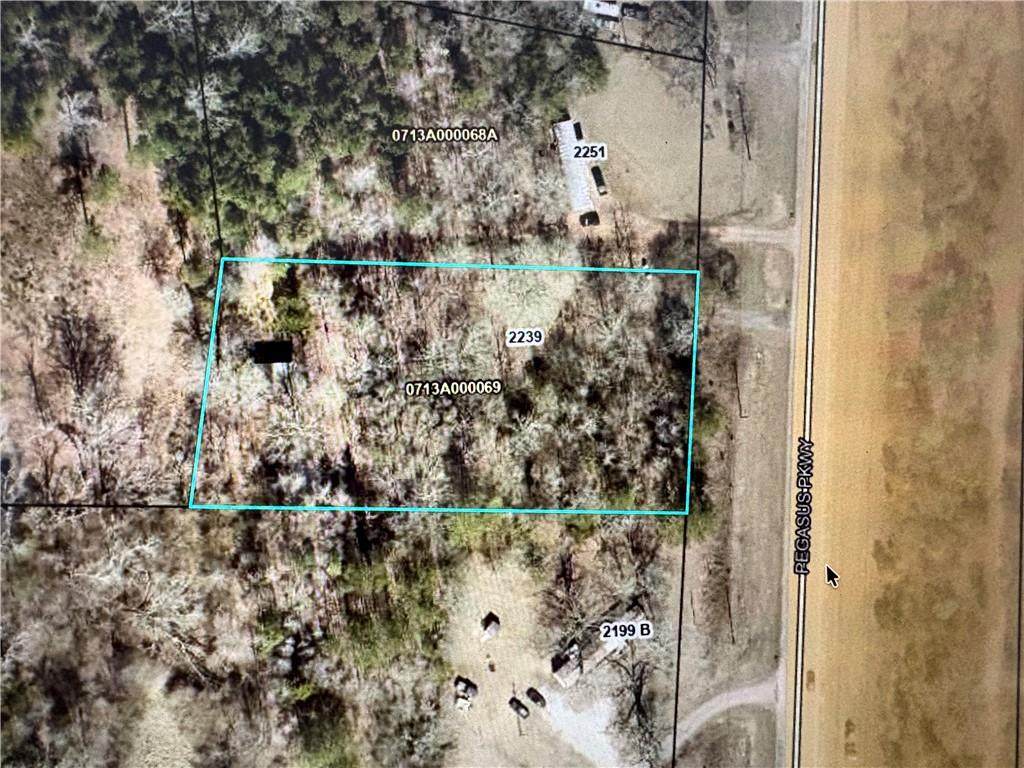 2239 Pegasus Parkway - Photo 1