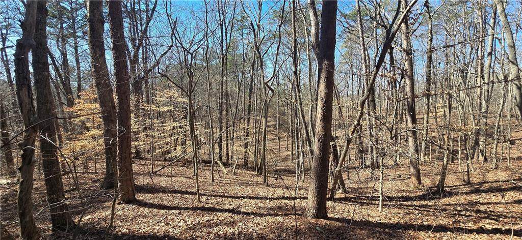 00001 Friendship Trail - Photo 1