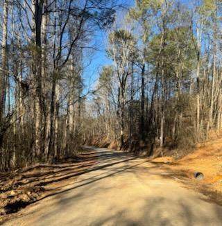 0 Santa Claus Rd - Photo 1