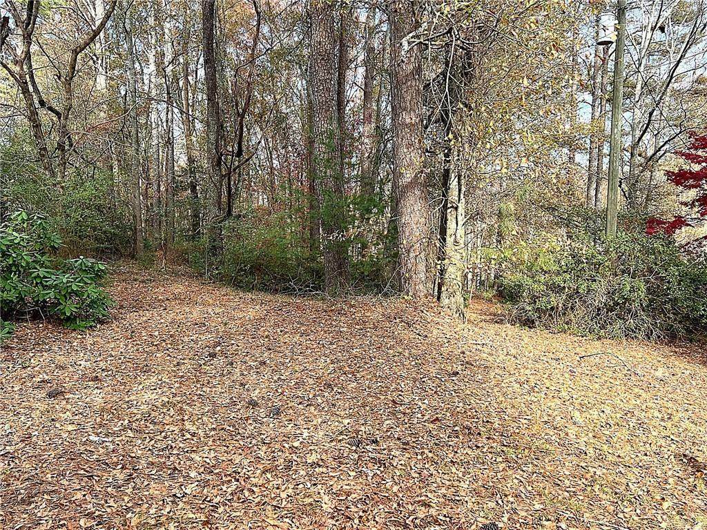 667 B Avery Road - Photo 1