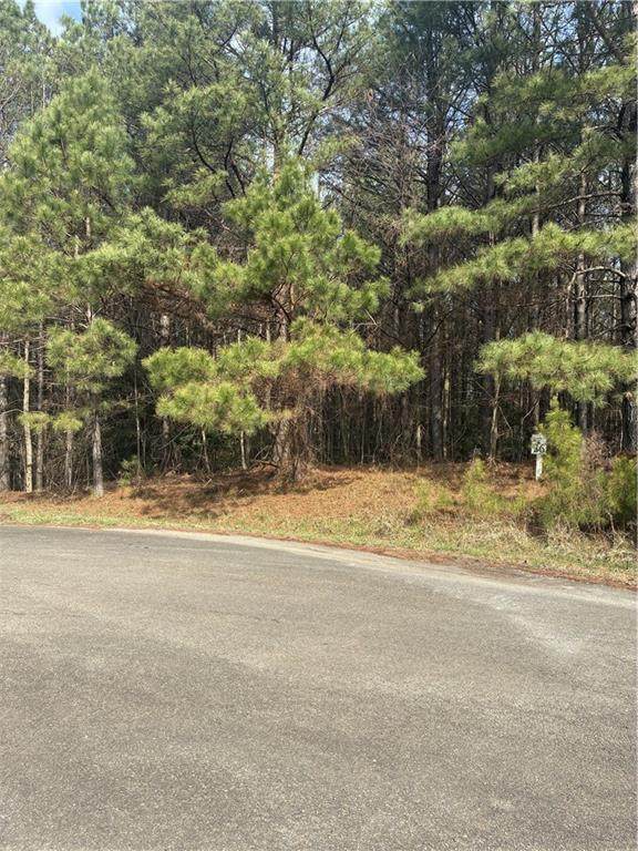 26 Foxpaw Leaf Lane - Photo 1