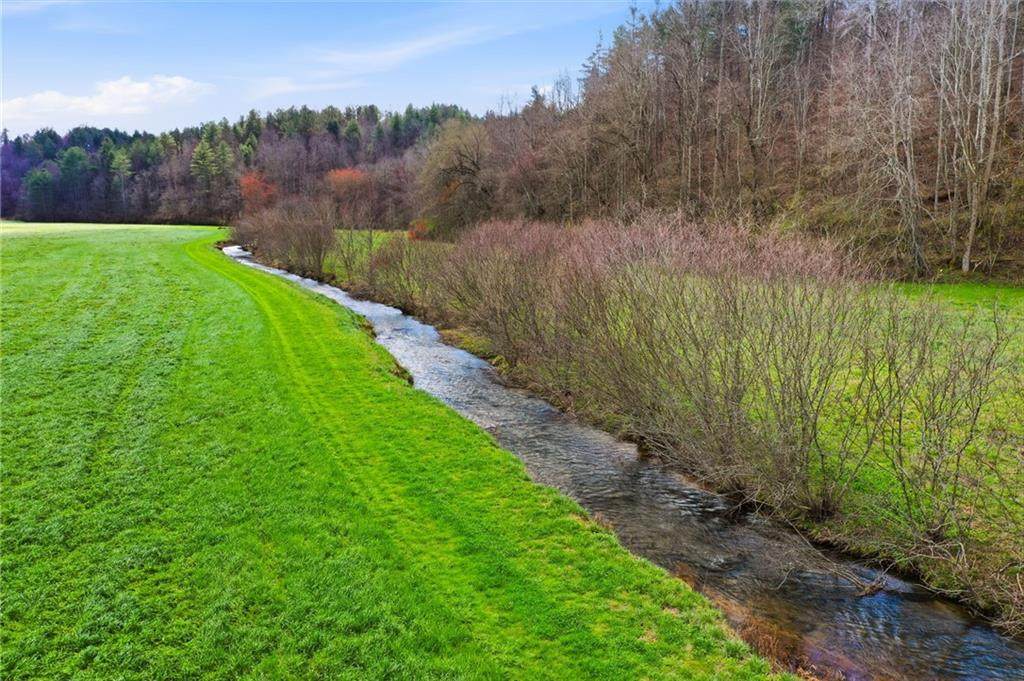 229 Seth Hyatt Road - Photo 1