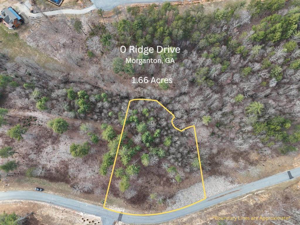 0 Ridge Drive - Photo 1