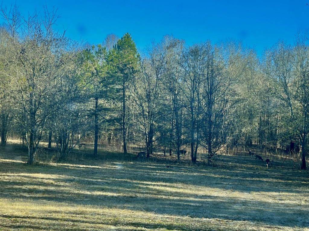 1072 Ford Road - Photo 1
