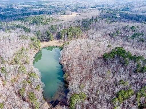 0 Williams Tract D Lane - Photo 1