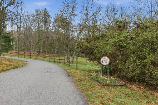 318 Wilmot Fabus Mountain Road - Photo 1