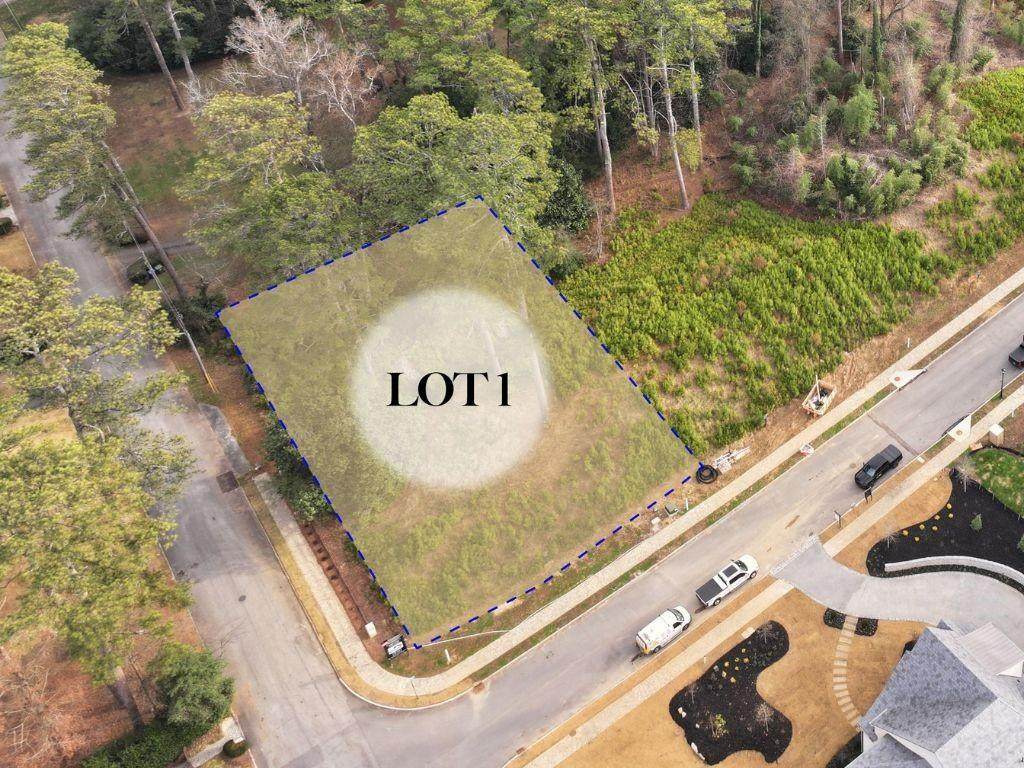 462 Emily Reed Lane - Photo 1
