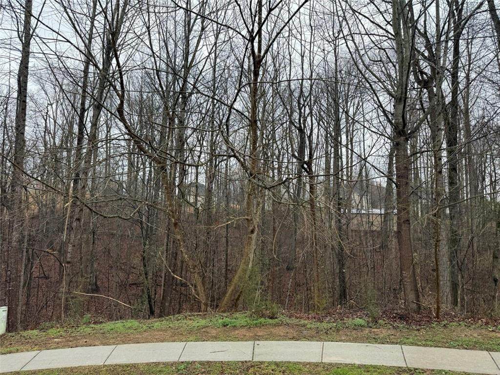 4638 Enfield Drive - Photo 1