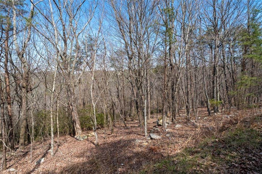 0 Mulberry Circle - Photo 1