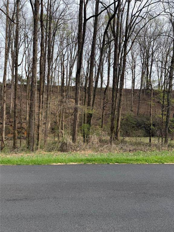 3402 Cagle Road - Photo 1