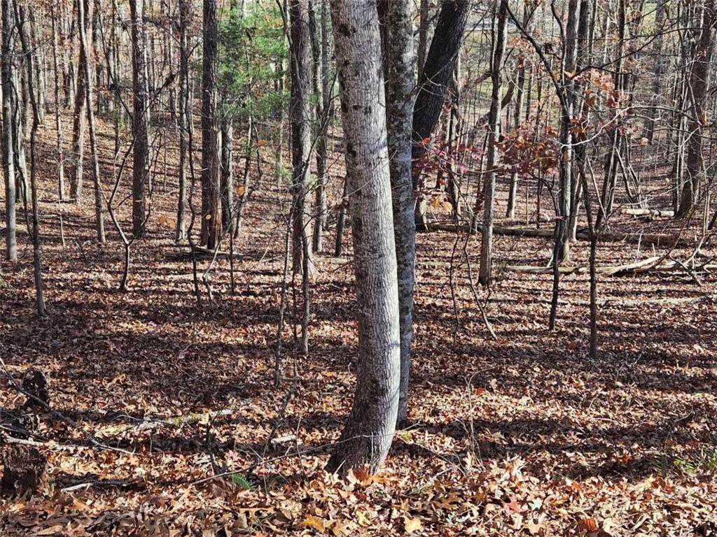 7629 Dogwood Way - Photo 1