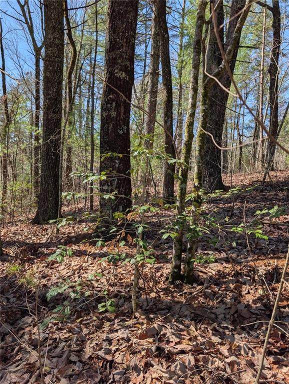 0 Amber Lane - Photo 1