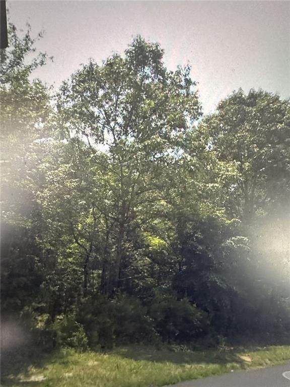 664 Holcomb Drive - Photo 1