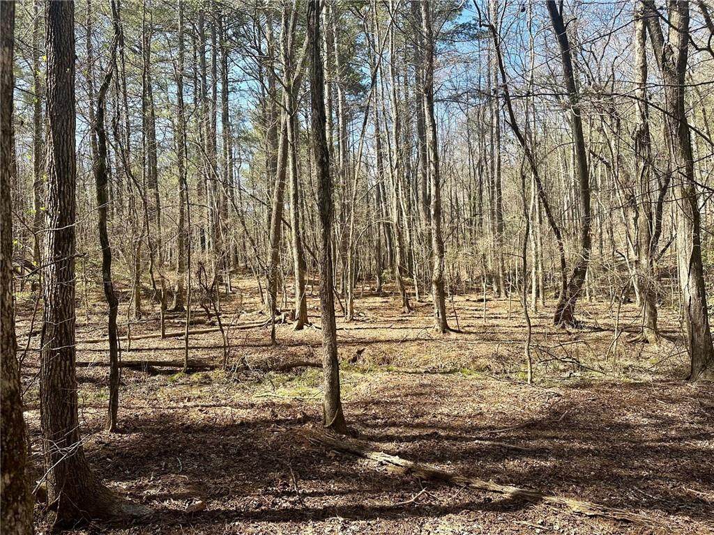 555 Larmon Forks Road - Photo 1