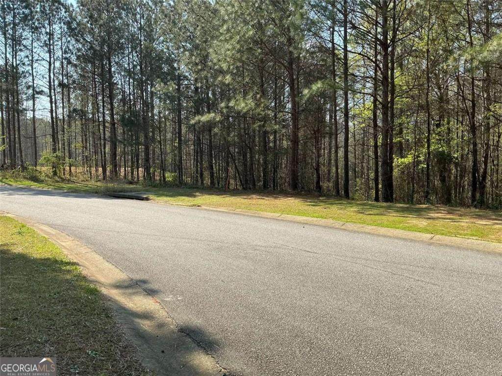262 White Creek Loop - Photo 1