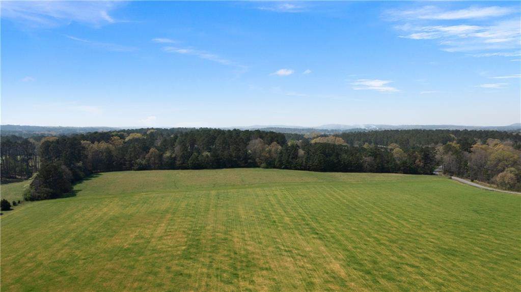 0 Taylorsville Macedonia Rd. Tract 1 Road - Photo 1