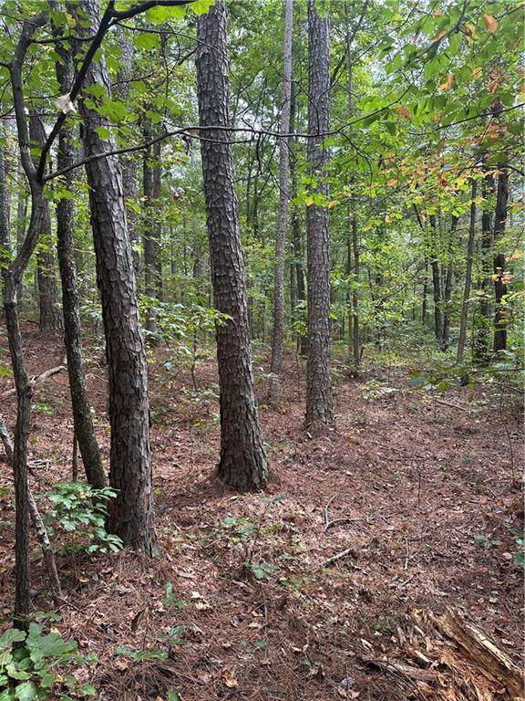 3826 Salacoa-Tract C - Photo 1