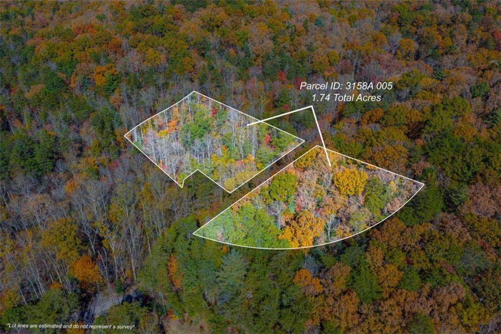 N/A Willard Mountain Road - Photo 1