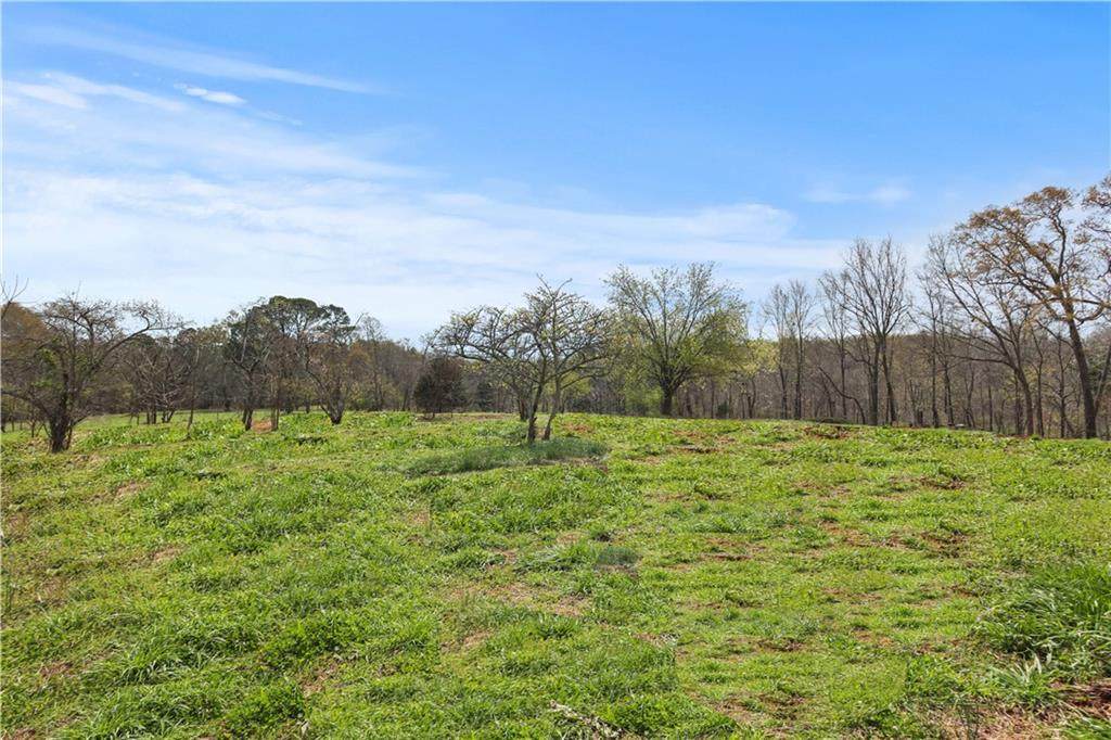 0 Winford Smith Road - Photo 1