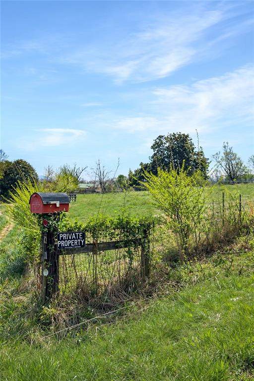 1019 Eli Knob - Photo 1