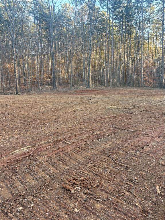 0 Salacoa-8 Acres - Photo 1