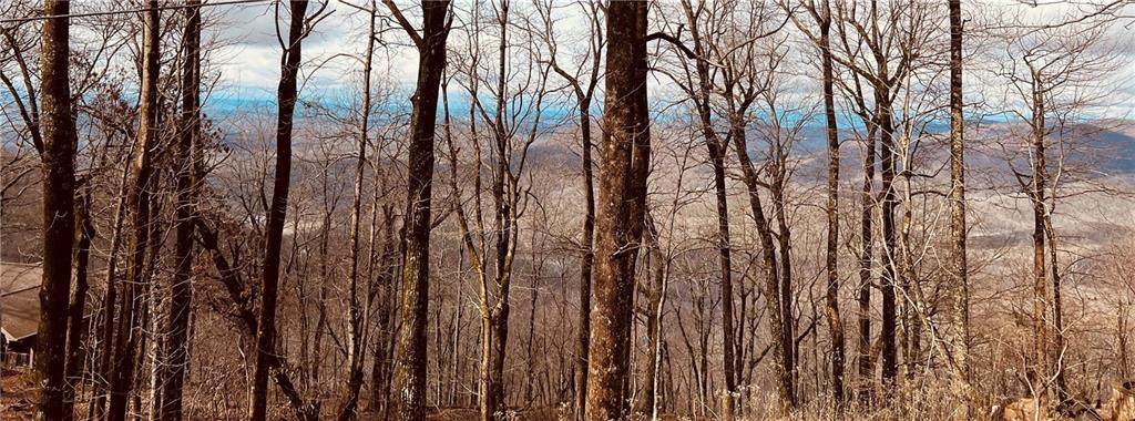 280 Big Stump Mountain Trail - Photo 1