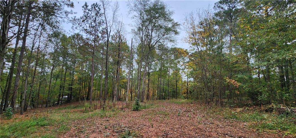 18 E Mourning Dove Court - Photo 1