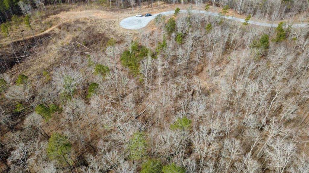 LOT 43 Bucktail Way - Photo 1
