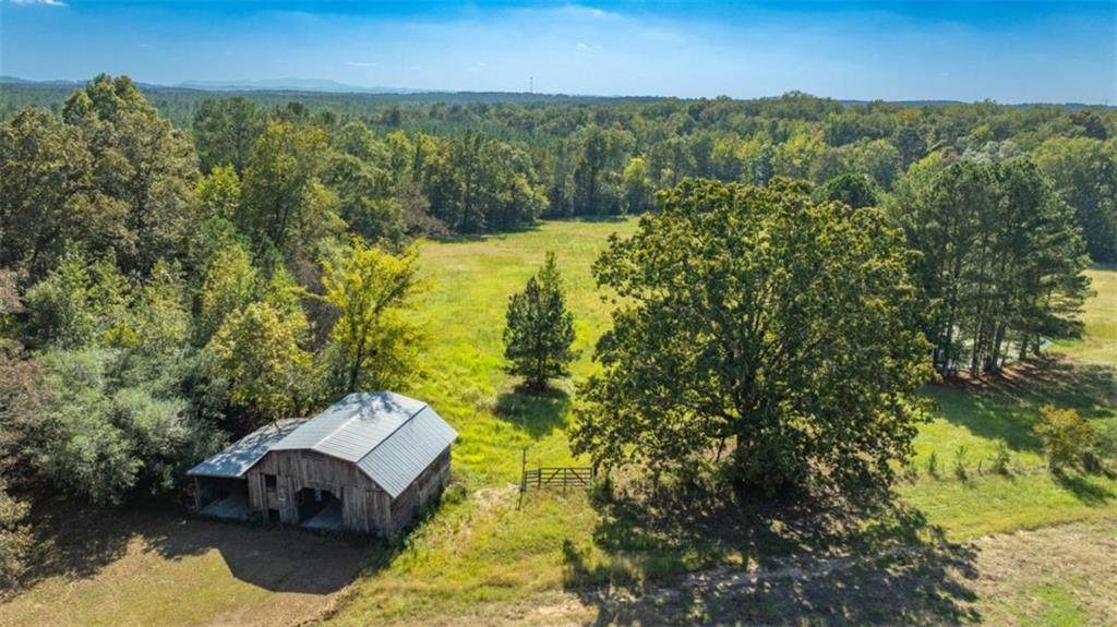 1239 Livingston Rd - Photo 1