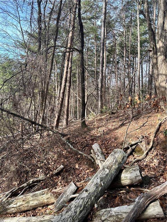 0 Log Swamp Dr. Drive - Photo 1