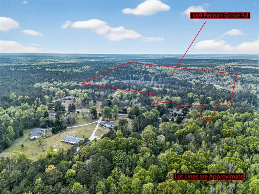 669 Pecan Grove Road - Photo 1