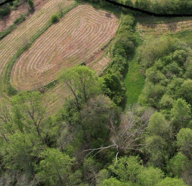 0000 Franklin Goldmine 6.56 Acres Road - Photo 1