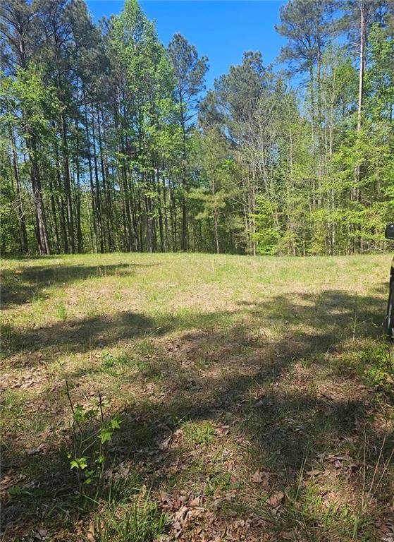 1041 Pintail Lane - Photo 1