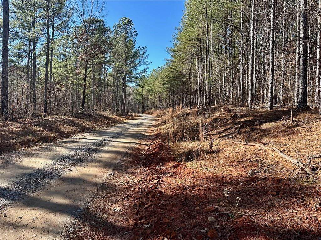 1107 Larmon Forks Road - Photo 1
