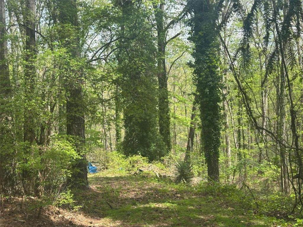 00 Yancey Road - Photo 1