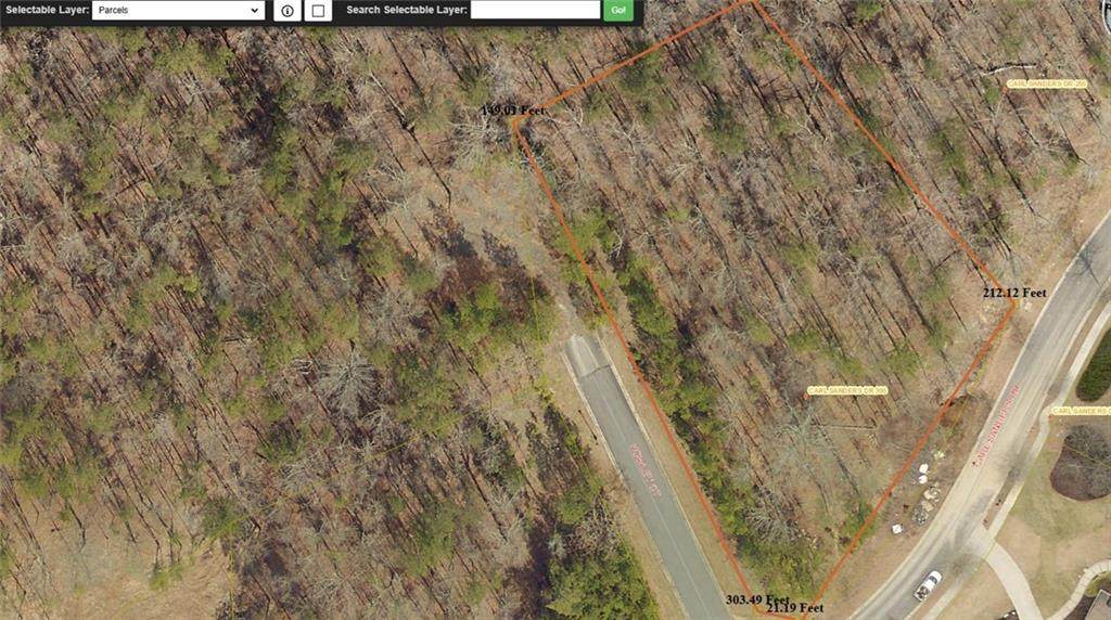 300 Carl Sanders Drive - Photo 1