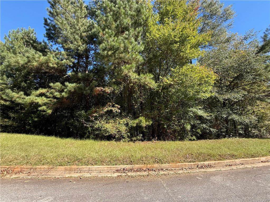 1333 Nickel Oak Bend - Photo 1