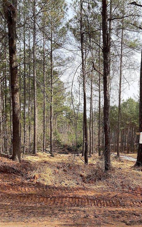 LOT 4 Jaxon Path - Photo 1
