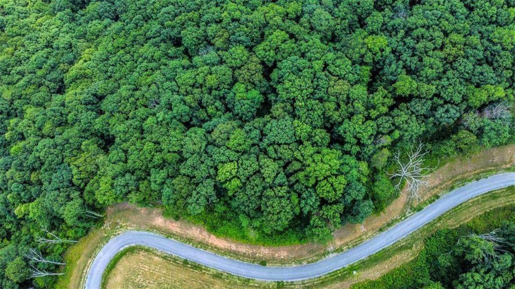 https://bt-photos.global.ssl.fastly.net/fmls/orig_boomver_1_7749002-2.jpg