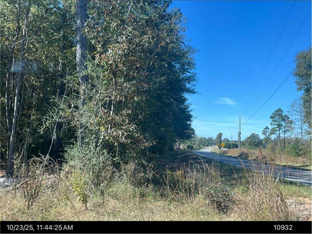 0 Jones Chapel Rd - Photo 1