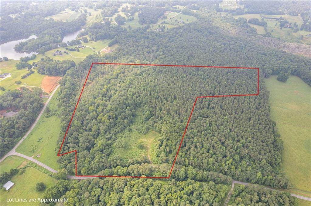 104 Martin Cemetary Road - Photo 1