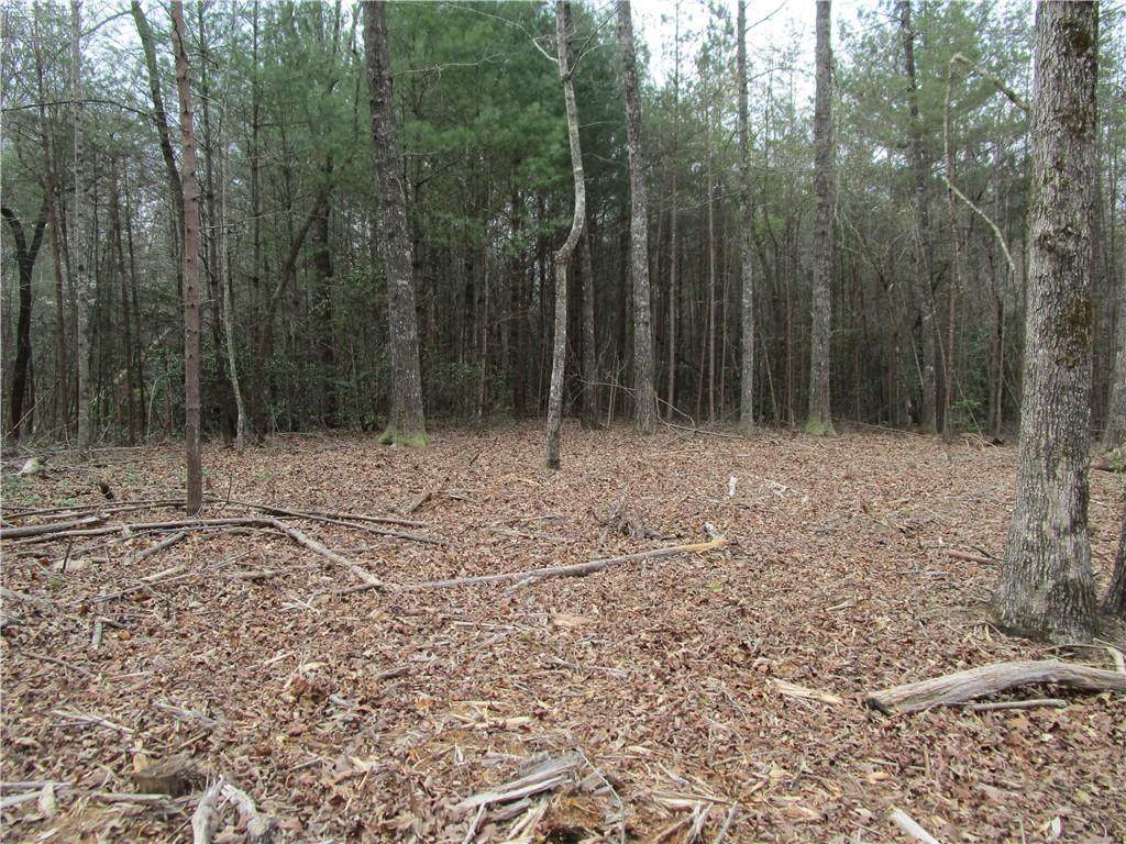 3 AC East New Hope Road - Photo 1