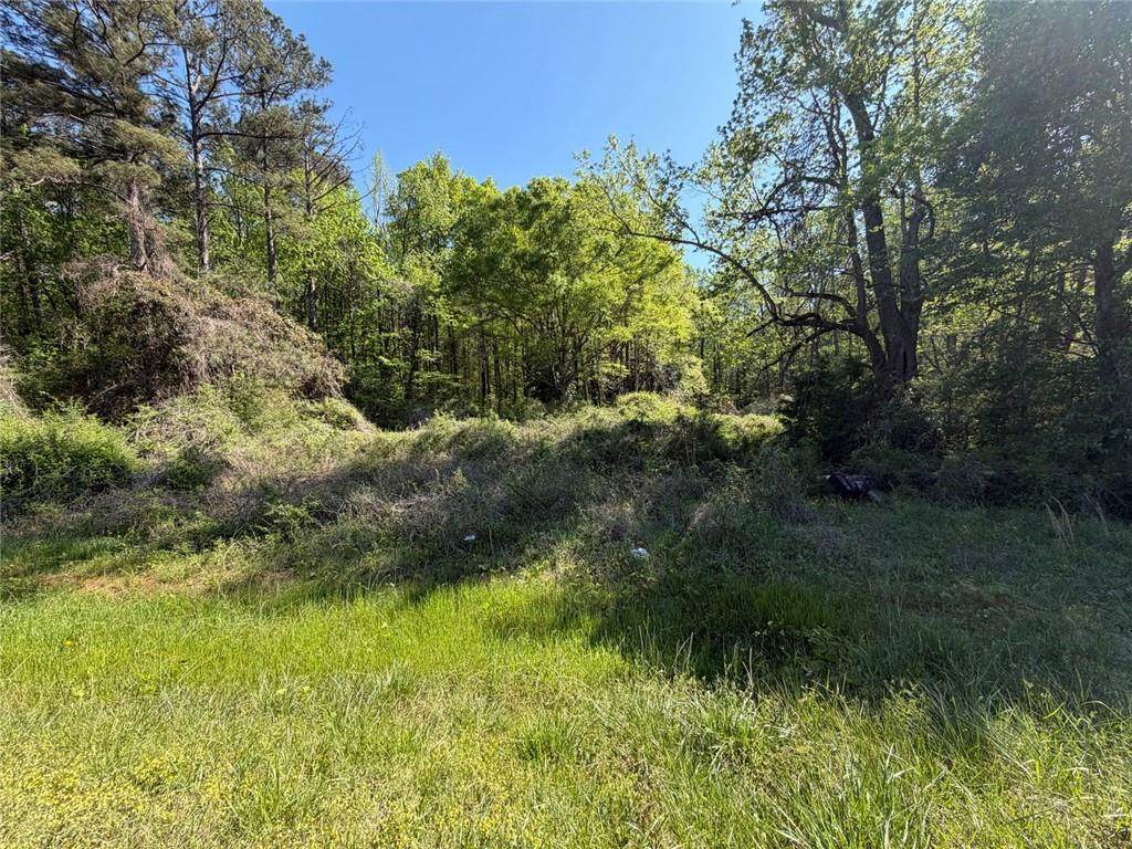 1574 Mt Bethel - Photo 1