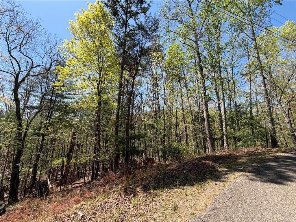812 Horse Cove Court - Photo 1