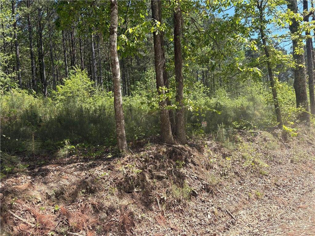 7500 Tyree Road - Photo 1