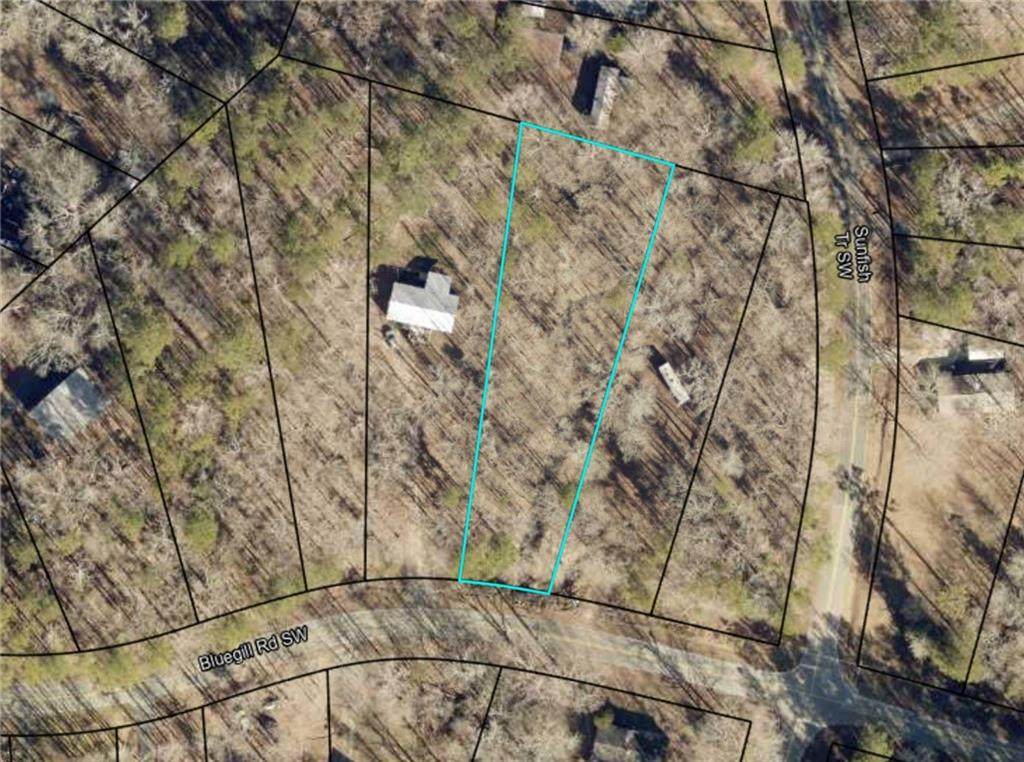 204 Bluegill Road - Photo 1