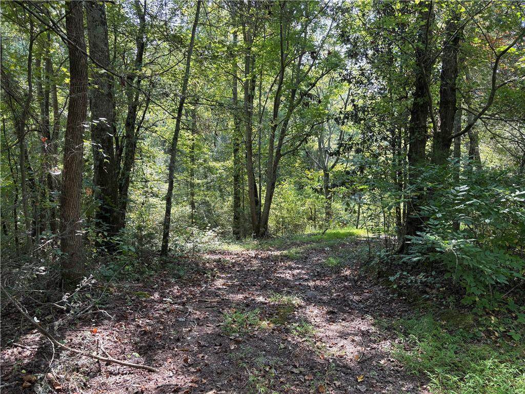 6485 Forsyth Drive - Photo 1