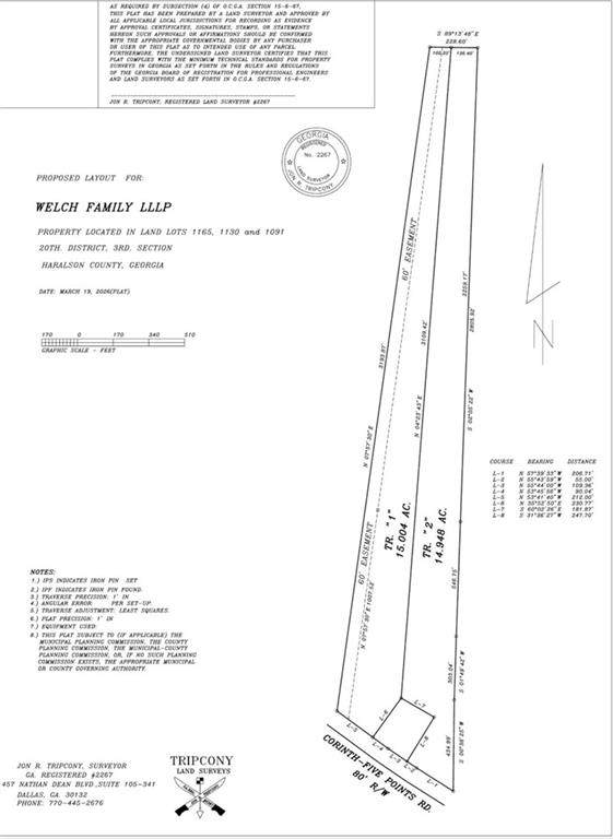 00 Corinth-Five Points Trac # 2 Road - Photo 1