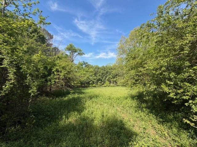 811 Ammons Road - Photo 1
